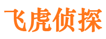 卢氏寻人公司